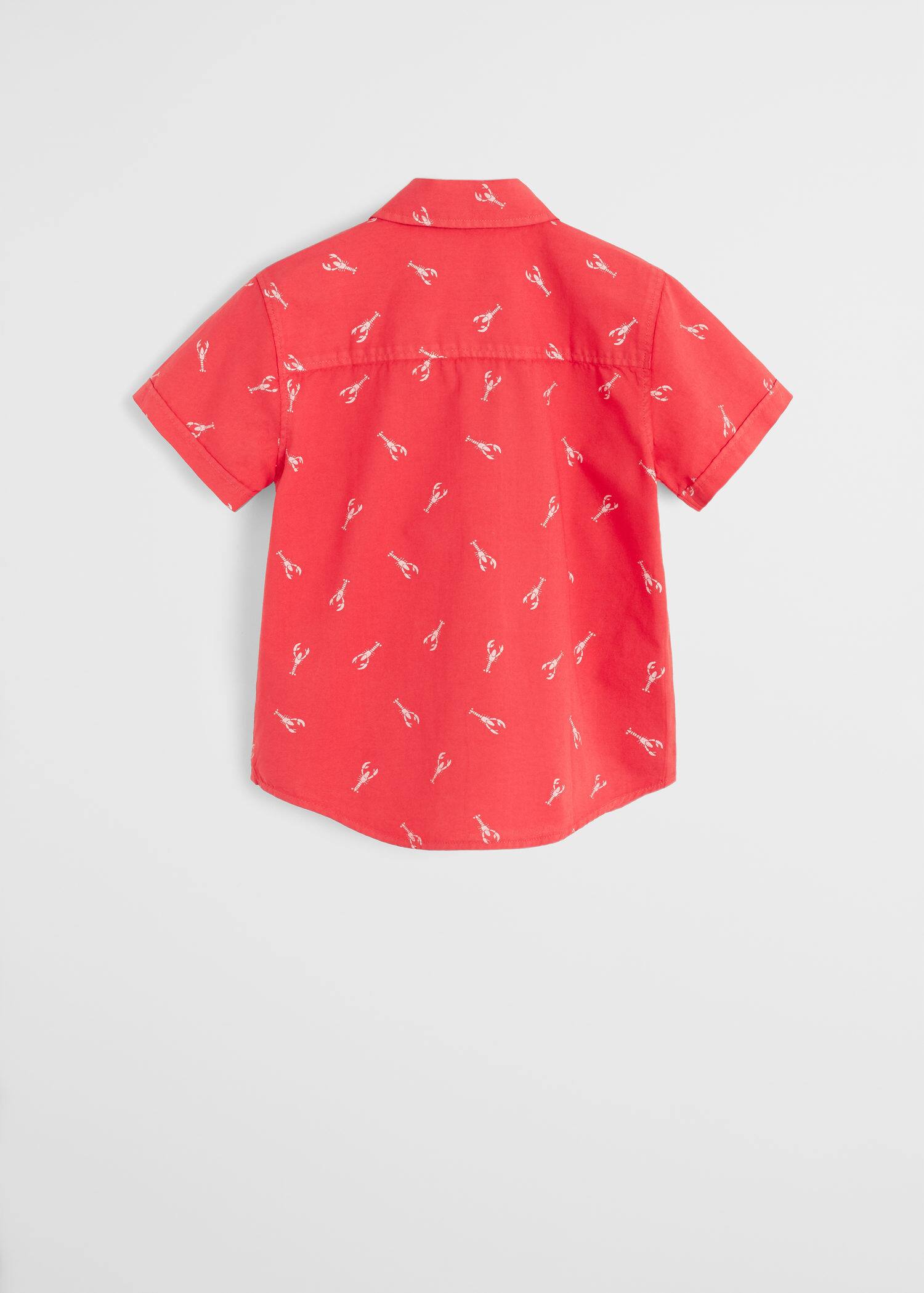 Fliessendes Hemd Mit Zebra Motiv Grosse Grossen Violeta By Mango