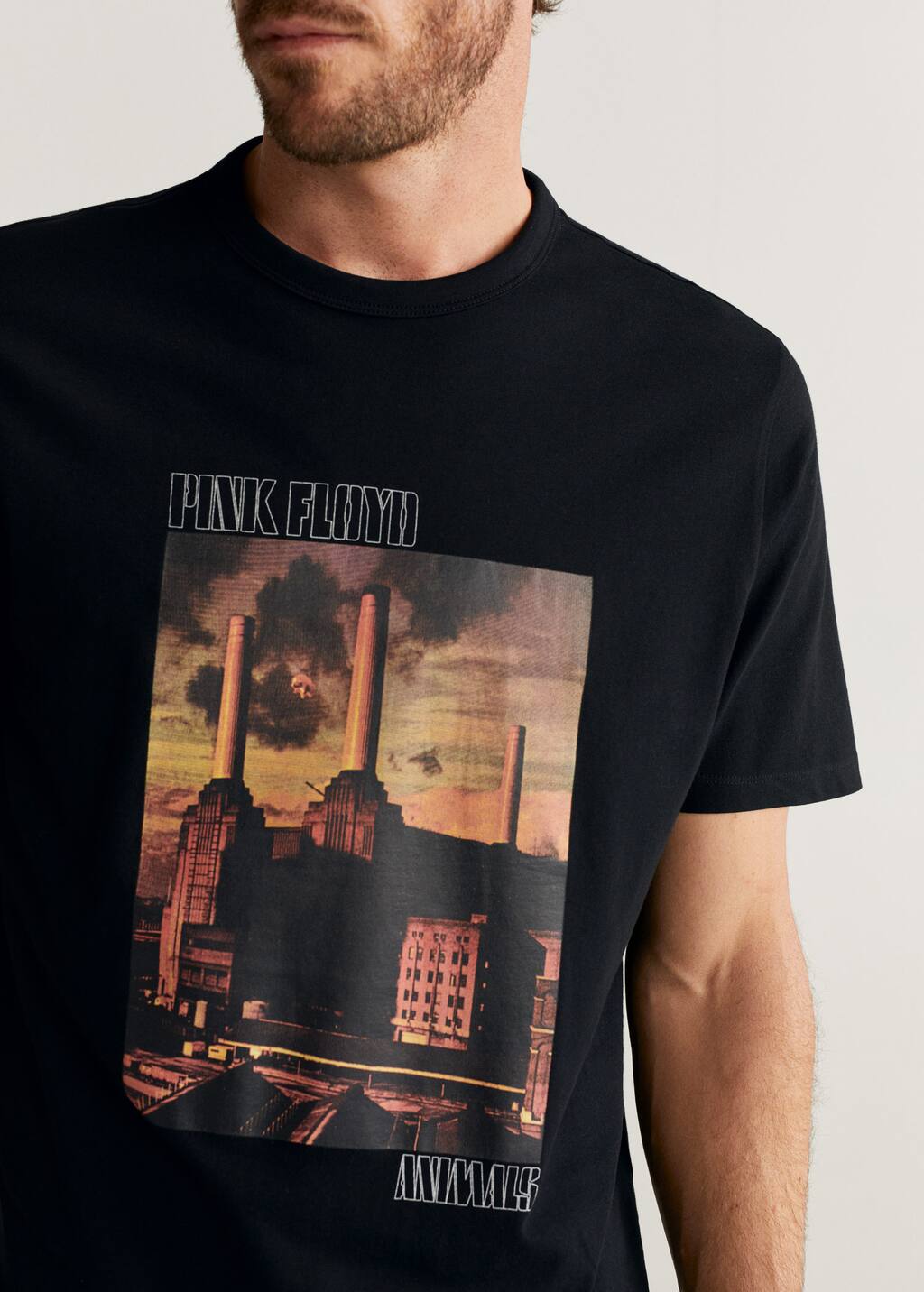 pink floyd camiseta